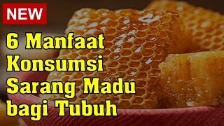 Honey Comb 250gr - Madu Sarang Asli Murni Raw Honey Premium Quality