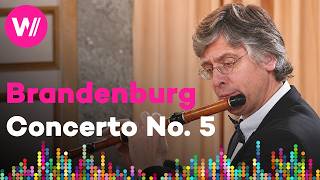 The Brandenburg Concertos | No. 5 in D Major, BWV 1050 – Remastered (Freiburg Baroque Orchestra)