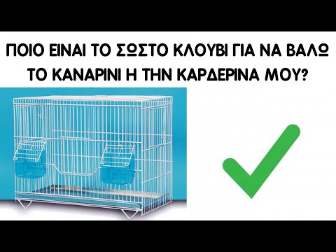 Βίντεο: Πώς να εισαγάγετε μια νέα γατάκι σε ένα σκυλί