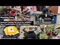Preethi Zodiac 2.0 Mixi Unboxing | Quick Bf Bread Omlet Recipe | Repotting Plants | Routine Vlog