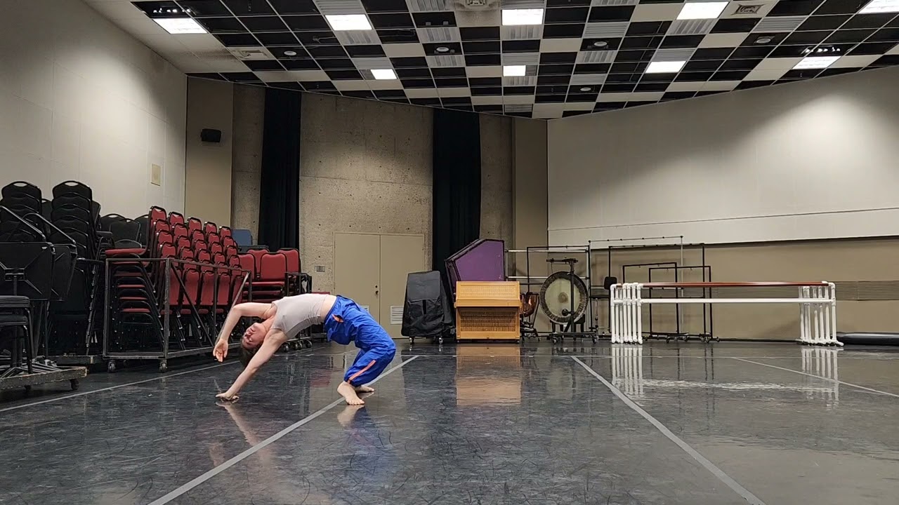 daina ashbee submission 1