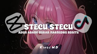 DJ STECU STECU JEDAG JEDUG VIRAL TIKTOK 2025 ( KiNGZMD REMiX )