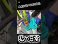 【注意】ベクトレーン純水器、控えめに言って凄いハズレ！数回問い合わせても連絡取れないからヤバイ会社かも（笑