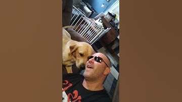 Thumbnail of CAN'T SMILE WITHOUT YOU*BARRY MANILOW  BARNACHEW CAMEO IN MEMORY OF CHEWIE ❤️YOU & MISS YOU CHEWIE😎