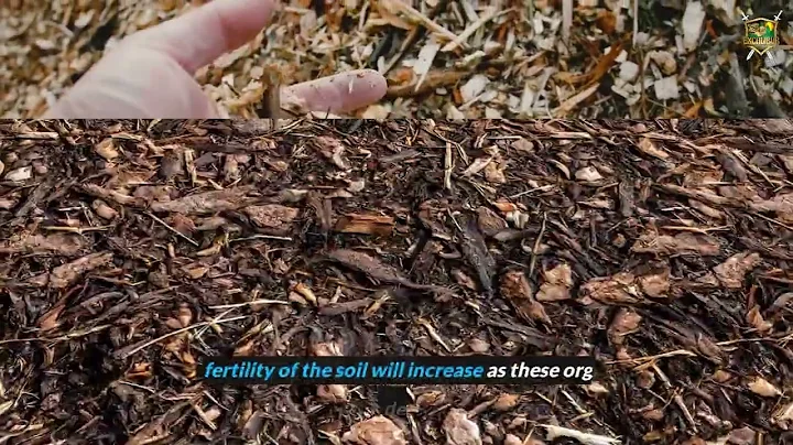 The Advantages And Disadvantages Of Using Forestry Mulching For Clearing Land