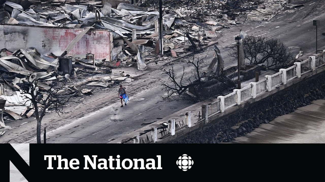 Maui wildfire death toll mounts as devastation becomes clear