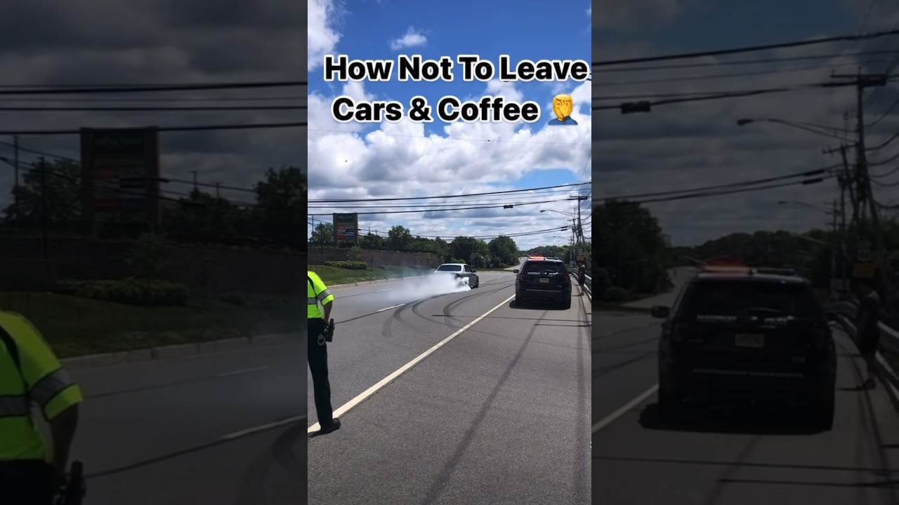 He DESERVES a ticket ❗️