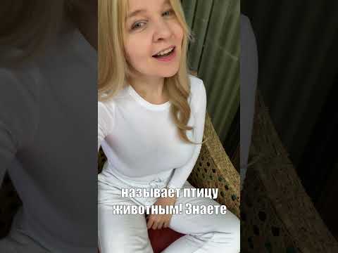 Невероятная Правда! Ворон — ЖИВОТНОЕ?! #shorts