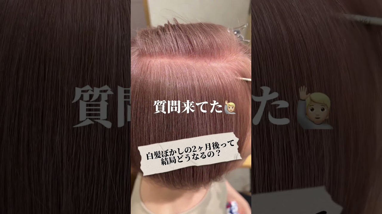 【姫路市 脱白髪染め専門美容師 平岡雄樹】白髪にお悩みの方はプロフィールへ飛んで下さい😊#姫路美容室 #姫路美容院 #姫路 #姫路で唯一の脱白髪染め専門 #明るい白髪染め #白髪ぼかし