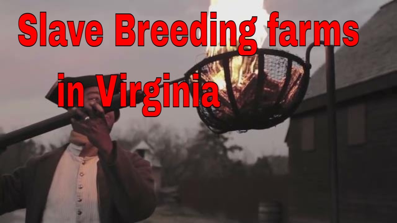 Slave Breeding farms in Virginia