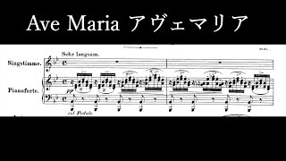 【楽譜と訳付き】シューベルト/アヴェマリア F.Schubert/Ave Maria D839