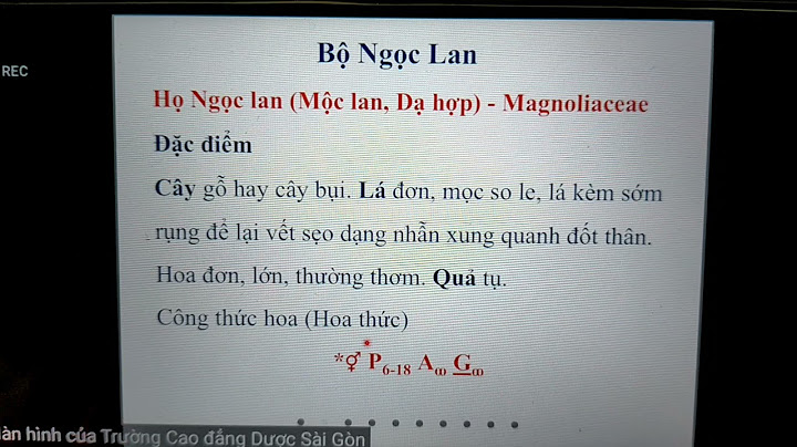 So sánh cấu tạo lớp hành và ngọc lan