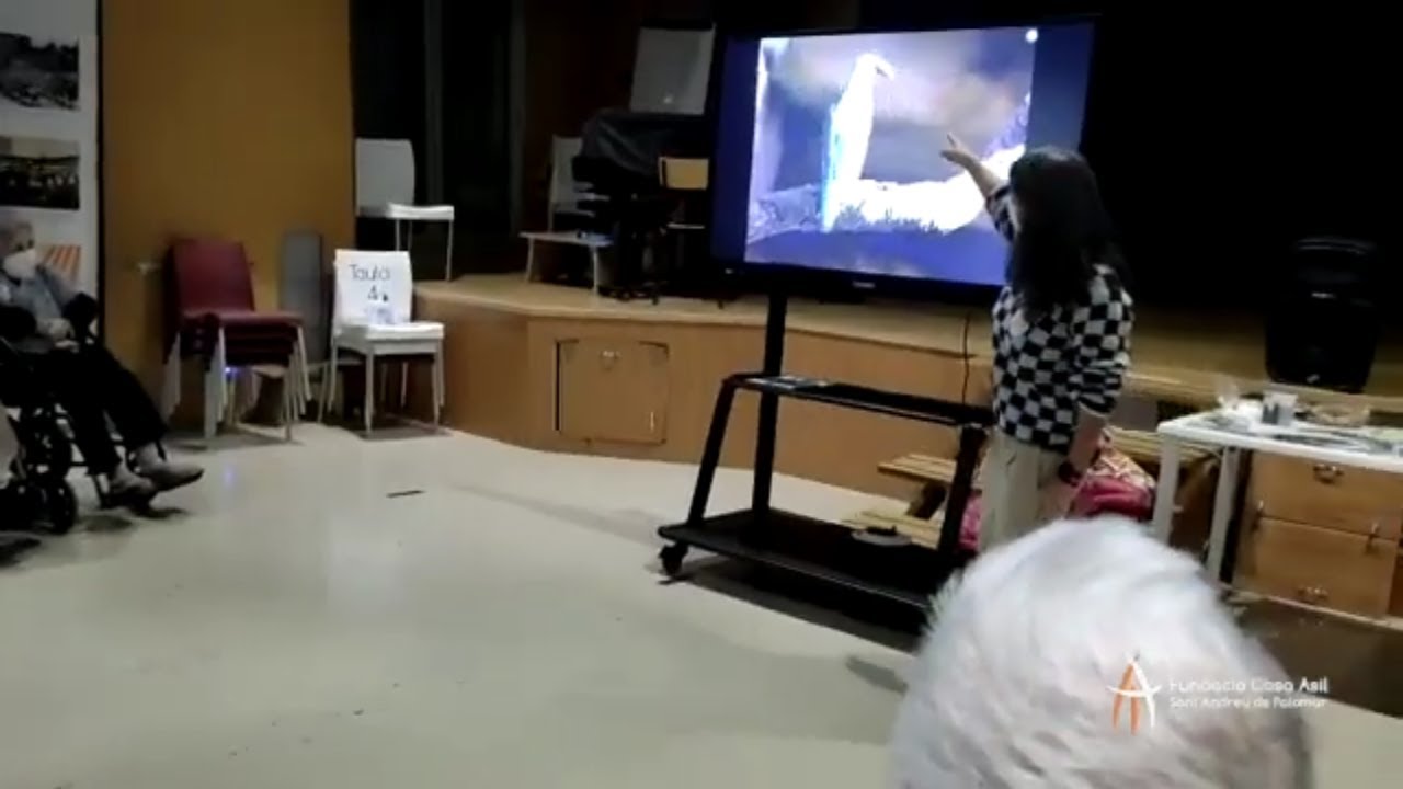YouTube player