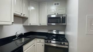 Apt 511: Efficiency Renoir Floor Plan
