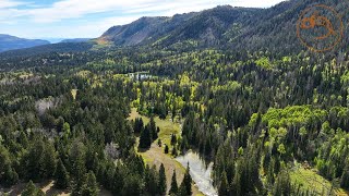 Mountain Biking Dream Trail: EPIC High Elevation Tiger Trout On Dragonflies | Fly Fishing