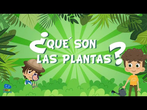 Vídeo: Què descriu una planta?