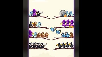 2308030 EN Dactd BirdSort2 08a23 S