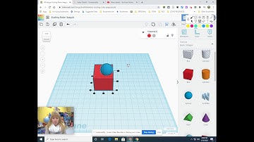 Tinkercad resizing, grouping, aligning, and mirror imaging