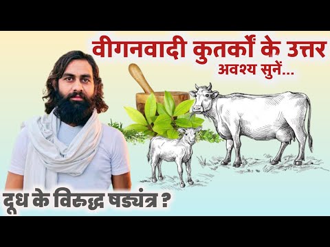 वीगनिज्म गाय के लिए विनाशकारी सिद्ध होगा Veganism will prove disastrous for the cow आचार्य प्रशान्त