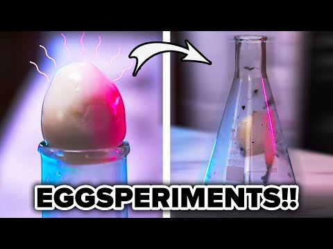 We Try Three Egg Experiments