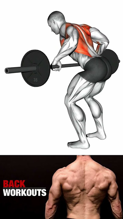 The PERFECT Chest Workout for Beginners (HOME EDITION) 