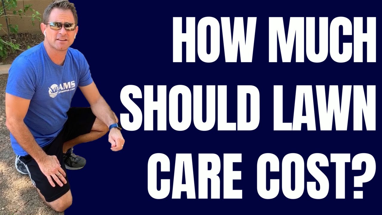 How Much Is Lawn Care Service In Phoenix YouTube