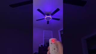 Definitely more features than I expected from a ceiling fan #ceilingfan #homeessential #hometok