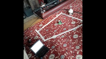 Jetbot Collision Avoidance