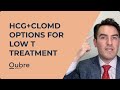 HCG + Clomid as Options for Low T treatment