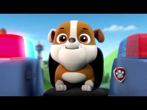 the entertainer paw patrol