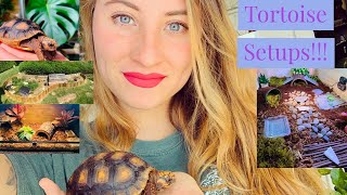 Tortoise Enclosure Reviews!