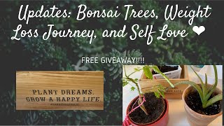 FREE GIVEAWAY! Updates : Bonsai Trees, Weight Loss, and Self Love  ‍️ ️  //Melissa Welz