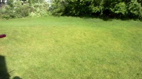 09 PMR 15 bps semi auto