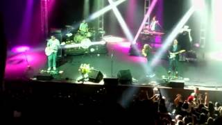Cafe Tacuba - Ingrata en vivo HD