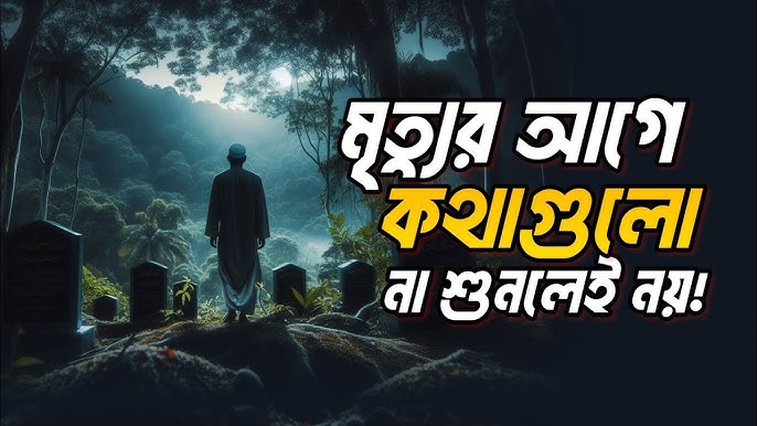 Киска видеоға түсірілген.