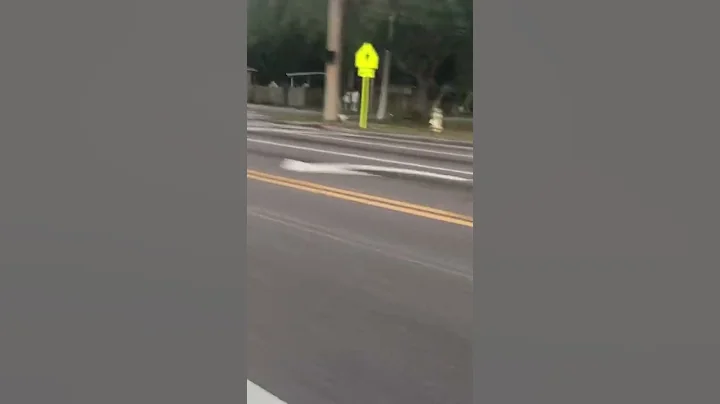 Turbo b16 1998 Honda Crv