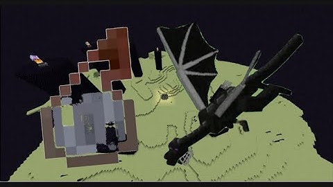 throwing invisibility potion on ender Dragon.