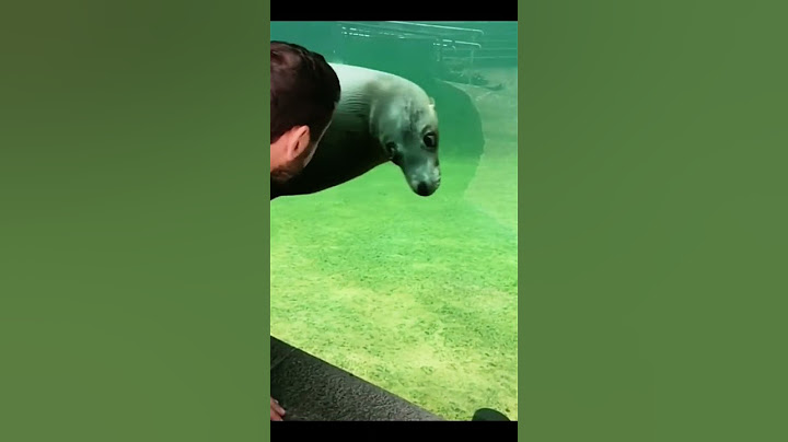 Top Funny Dog Videos of This Week #shorts