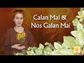 What is calan mai  sacred welsh celtic festival