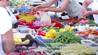 Shared Food, United Planet