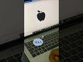 How To Type Apple Symbol in MS Word | Keyboard Secrets #tricks #microsoft #tech #mstechtricks