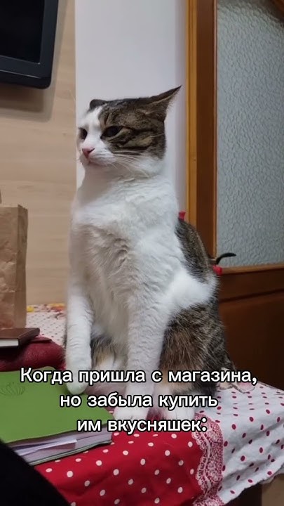 Мымра - YouTube