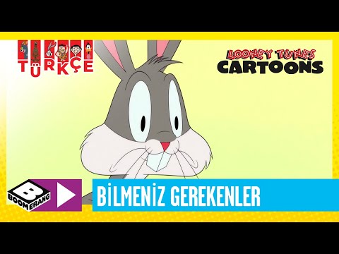 SEVİMLİ KAHRAMANLAR HİKAYELER | Hakkında Bilmeniz Gereken Her Şey | Boomerang TV Türkiye