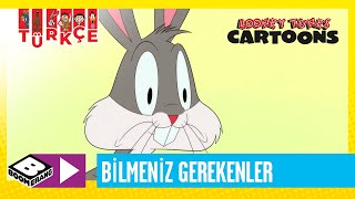 SEVİMLİ KAHRAMANLAR HİKAYELER | Hakkında Bilmeniz Gereken Her Şey | Boomerang TV Türkiye