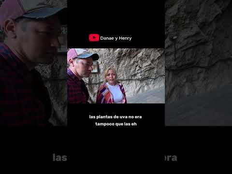 This Is The Oldest Wine Cellar In The World Areni 1