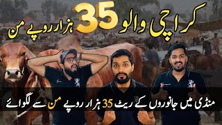 Karachi Walo 😯😯 Rate 35000 Rupai Maan Se | Karachi Cow Mandi 🐂🦬🐄 | Northern ByPass