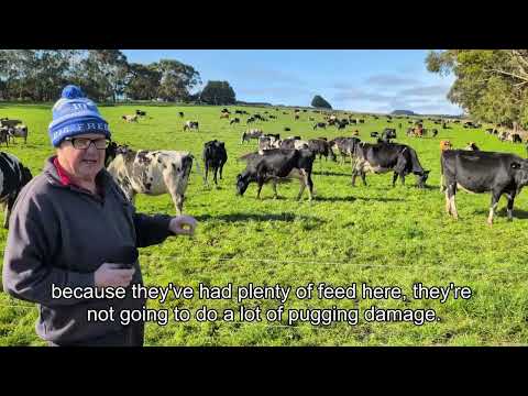 Dairy Farm Life journal - Season 3 Episode 6: reducing pasture damage during wet winters