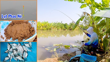 Câu Đài Nghiệp Dư ➣ Điểm Câu Cá Diếc Mùa Đông Đẹp, Cá Nhiều Nhưng Tiếc Là...