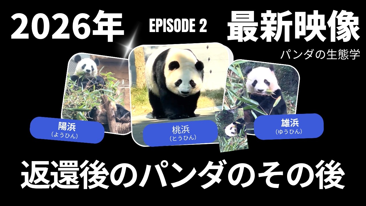 2026 Repatriation Record of Japan-Born Giant Pandas — Latest