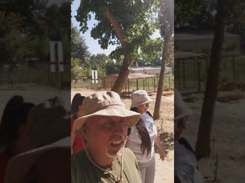 احلى مشوار على دير تعنايل